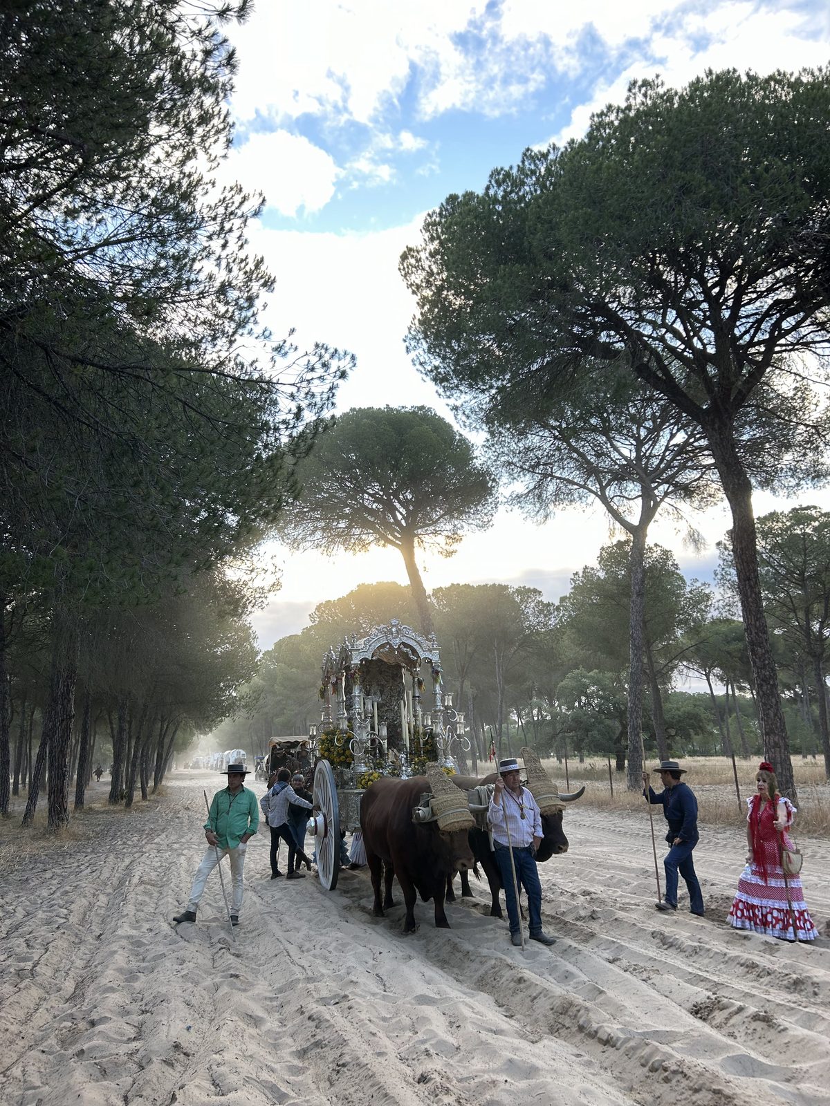 La Hermandad de camino a la aldea de El Rocío